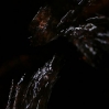 Water stream