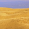 RR07_4474-1_f