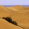 Dunes of Maspalomas