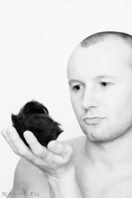 Bald with hand full of hair