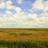 Tolkuse bog