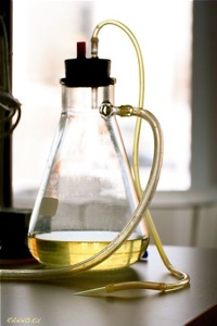 Vacuum bottle