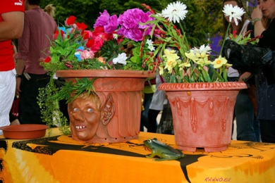 Angry flower pot