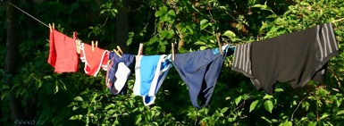 Shorts on rope