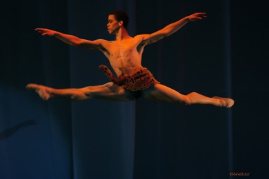 Steven Melendez; Diana and Acteon