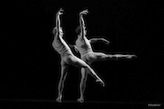 Pontus Lidberg and Adrian Danchig-Waring in The Four Seasons