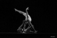 Pontus Lidberg and Adrian Danchig-Waring in The Four Seasons