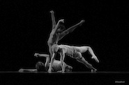 Pontus Lidberg, Gabrielle Lamb and Adrian Danchig-Waring in The Four Seasons