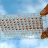Hemagglutination assay