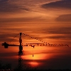 A crane in sun set