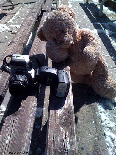 Exhausted teddy bear with Canon