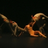 Afternoon of a Faune