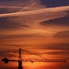 2009 A crane in sun set
